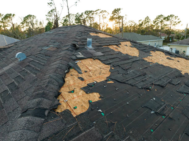Best Cold Roofs  in Corry, PA